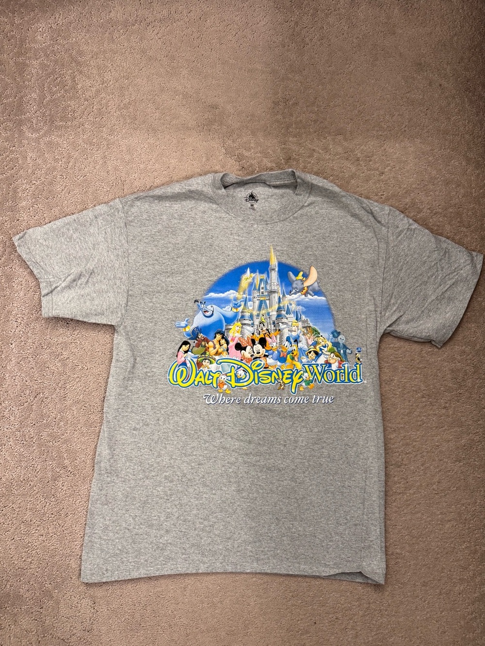 Walt Disney World Gray Graphic- Where Dreams Come True castle tee adult sz Med